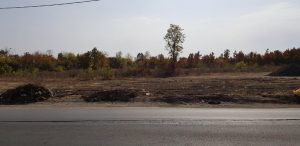 The Library, bistroul cu autoservire al magazinului Mobexpert din Pipera