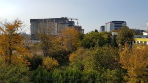 The Library, bistroul cu autoservire al magazinului Mobexpert din Pipera