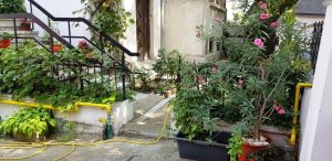 Casa interbelica in Bucuresti