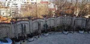 Gramont Cuisine & Wine, restaurant la Palatul Suter din Bucuresti