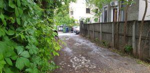 Caragea 8, restaurant braserie in zona Dorobantilor