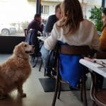 Mamizza, restaurant de pizza si paste in zona Stefan cel Mare