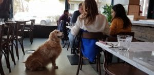 Mamizza, restaurant de pizza si paste in zona Stefan cel Mare