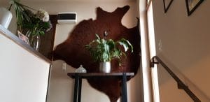 Bocca, restaurant cu bucatarie italiana traditionala in cartierul Primaverii