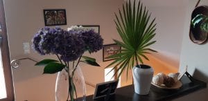 Bocca, restaurant cu bucatarie italiana traditionala in cartierul Primaverii