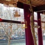 Pranz cu o fata frumoasa la JO Lounge Bistro pe malul Dambovitei