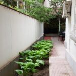 Matcha Bar ceainarie si bistrou cu terasa la Piata Romana 14