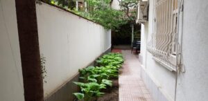 Matcha Bar ceainarie si bistrou cu terasa la Piata Romana 14