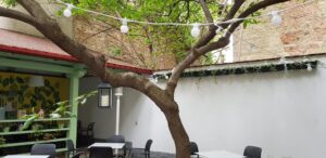 Matcha Bar ceainarie si bistrou cu terasa la Piata Romana 21