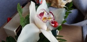 Allucinante by Patrizia, restaurant italian in Calea 13 Septembrie