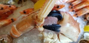 Fructe de mare proaspete la restaurantul Le Vivier