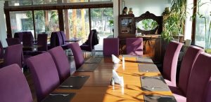 Meadows, restaurant multicuisine in Parcul Herastrau intrarea Kiseleff