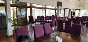 Meadows, restaurant multicuisine in Parcul Herastrau intrarea Kiseleff