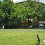 Parcul si lacul Herastrau la Kiseleff