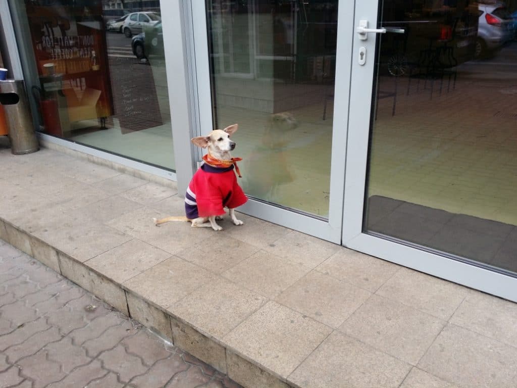 Waiting for Godot who drinks inside