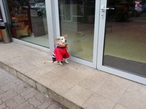 Waiting for Godot who drinks inside