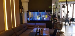 Nadasan, restaurant cu bucatarie asiatica in Cartierul Francez