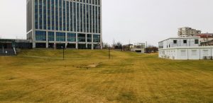 Timpuri Noi in jurul lui Carnivale Food Market si Biutiful