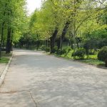 Dines, restaurant in Parcul Carol la Arenele Romane