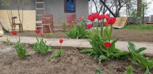 Florin si Victoria si atelierul lor de ceramica de la Gurbanesti