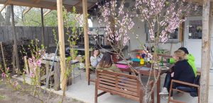 Florin si Victoria si atelierul lor de ceramica de la Gurbanesti