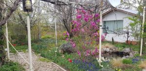 Florin si Victoria si atelierul lor de ceramica de la Gurbanesti