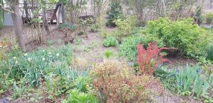 Florin si Victoria si atelierul lor de ceramica de la Gurbanesti