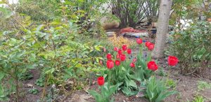 Florin si Victoria si atelierul lor de ceramica de la Gurbanesti