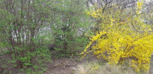 Florin si Victoria si atelierul lor de ceramica de la Gurbanesti