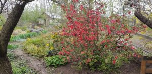 Florin si Victoria si atelierul lor de ceramica de la Gurbanesti