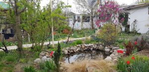 Florin si Victoria si atelierul lor de ceramica de la Gurbanesti