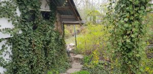 Florin si Victoria si atelierul lor de ceramica de la Gurbanesti