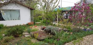 Florin si Victoria si atelierul lor de ceramica de la Gurbanesti