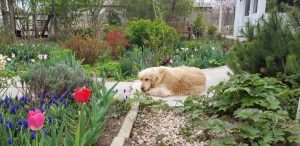 Florin si Victoria si atelierul lor de ceramica de la Gurbanesti