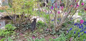 Florin si Victoria si atelierul lor de ceramica de la Gurbanesti