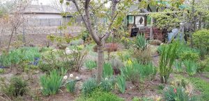 Florin si Victoria si atelierul lor de ceramica de la Gurbanesti