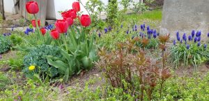 Florin si Victoria si atelierul lor de ceramica de la Gurbanesti