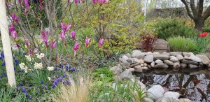 Florin si Victoria si atelierul lor de ceramica de la Gurbanesti