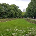 Parcul Floreasca spre Radu Beller, cu restaurantele B4 si Corto Maltese