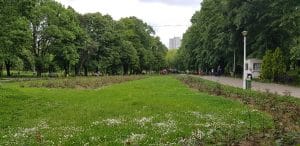 Parcul Floreasca spre Radu Beller, cu restaurantele B4 si Corto Maltese