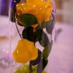 The President Bucuresti