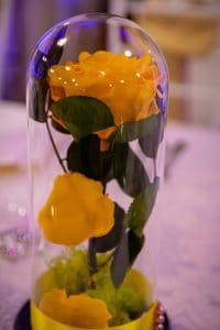 The President Bucuresti