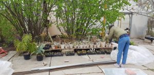 Victoria Finala, atelierul de ceramica de la Gurbanesti