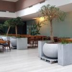 Willbrook Platinum, restaurantul cu autoservire al centrului de business