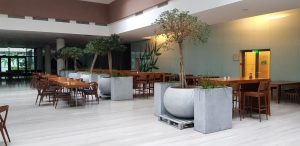 Willbrook Platinum, restaurantul cu autoservire al centrului de business