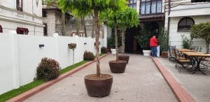 Becker Brau, berarie romano-germana la Palatul Bragadiru