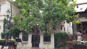 Strada Nicolae Tonitza din Centrul Vechi 