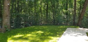 Lazoo Restaurant Lounge in Padurea Baneasca langa Zoo 25