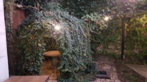 Terasa lui Chef Alex Petricean