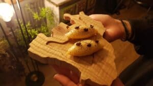 Noua Bucatarie Romaneasca, Chef Alex Petricean